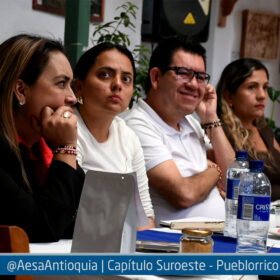 aesa