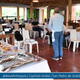 aesa
