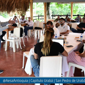 aesa