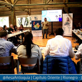 aesa
