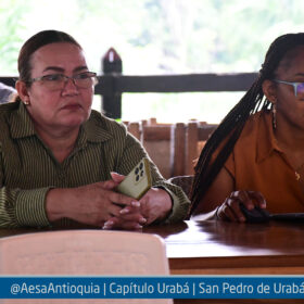 aesa